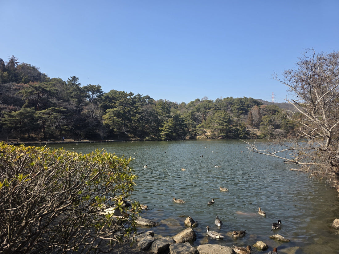 ご自宅へ訪問　岡山エリア